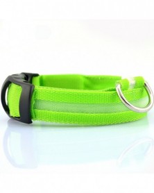 L size-green-2.5cm Wide...