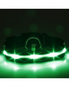 Green-Battery XL-dog light...