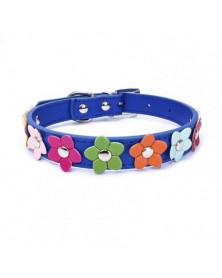 L size-Navy-Pet Collar...