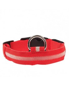 XL size-Red-Nylon LED Dog...