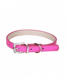 S size-Rose Red-Durable Dog...