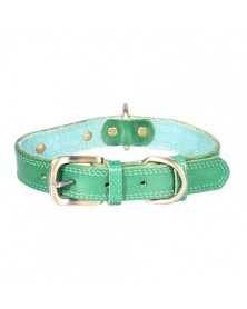 XL size-Green-Pet Easy To...