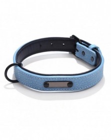 XL size-Blue-Dog Collar...