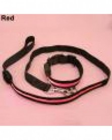 L size-Pink-Nylon Flashing...