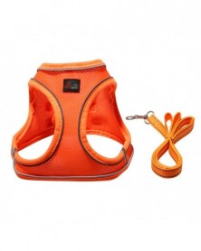 XL size-O - Adjustable Dogs...