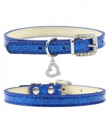 XS size-C-blue-Dog Neck...