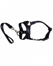 XL size-black - Dog Pet...