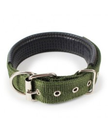 XL size-Green-Dog Collar...