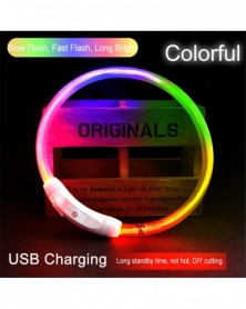 L size-XQ-Colorful-LED Pet...