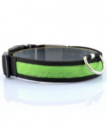 L size-green-Nylon LED Pet...