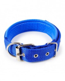 L 2.5cmX52cm-Blue-Pet Nylon...