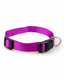 XL size-Purple-Dog Collars...