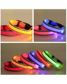 Battery M-Colorful-LED Pet...