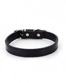 1.5x37cm-Black-Dog Collars...