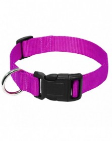 L size-Purple-Nylon Webbing...