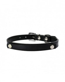 M size-black 2-DIY Name Dog...