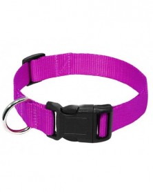 XL size-Purple-Classic Dog...