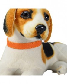 1.0x30-Orange-Dog Collar...