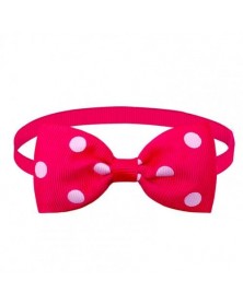 Rose red White-Pet Neck Bow...