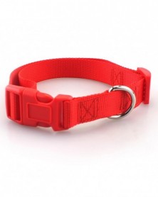 L size-red-Nylon Dog Collar...