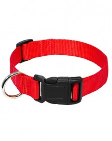 2.5cm-Red-Pet Dog Collar...