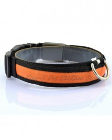 M size-orange-Nylon LED Pet...