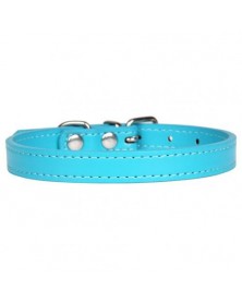 S size-Lake Blue-Nylon Dog...