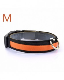 Orange M-Nylon Dog Collars...