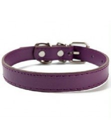 XS size-Purple-Pet Dog...