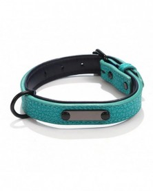 L size-Green-Dog Collar...