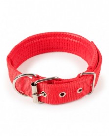 2.5x52cm-Red-Pet Collars...