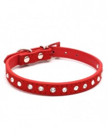 S size-Red-Small Dog Collar...