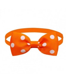 Orange-Cats Collar Fabric...