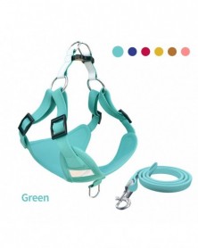 L(15-22.5kg dog)-Green-New...