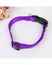 L size-Purple-Nylon Dog...