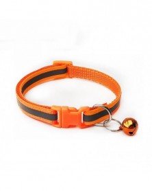 Orange-Pet Collar...