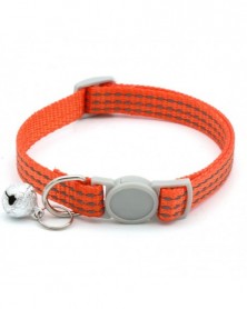 Orange-Dog Collar...