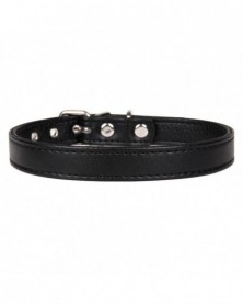 M size-Black-Pet Dog Collar...