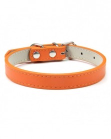 XS size-Orange-Pet Neck...