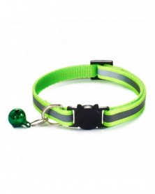 Fluorescent Green-Pet...