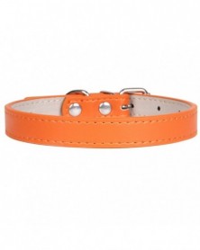 XXS size-Orange-Hot!Pet...