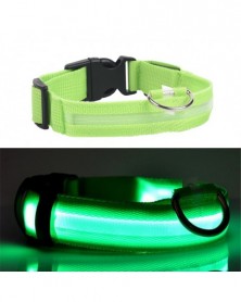 Size 45-52-Green-Dog Collar...