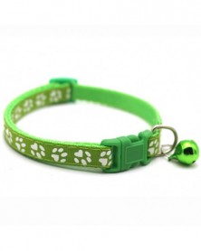 Light Green-12 Colors Pet...