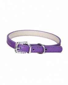 XS size-Purple-Pet Necklace...