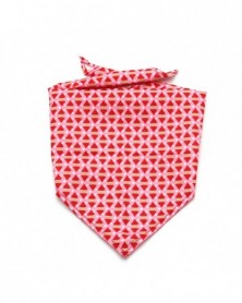 Rose Red-Pet Bandana...