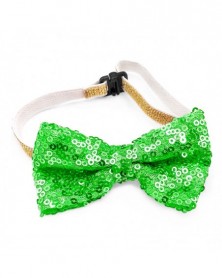 Green-Fashion Sequin Pet...