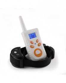 For 1 Dog-e - 500m remote...