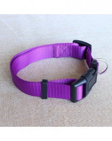 M size-Purple-Classic Solid...