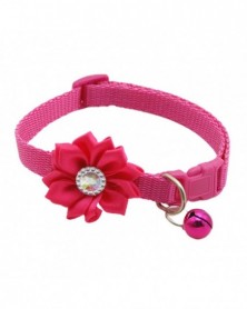 Rose red-Pretty Cat Collar...