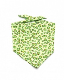 Light green-Pet Bandana...